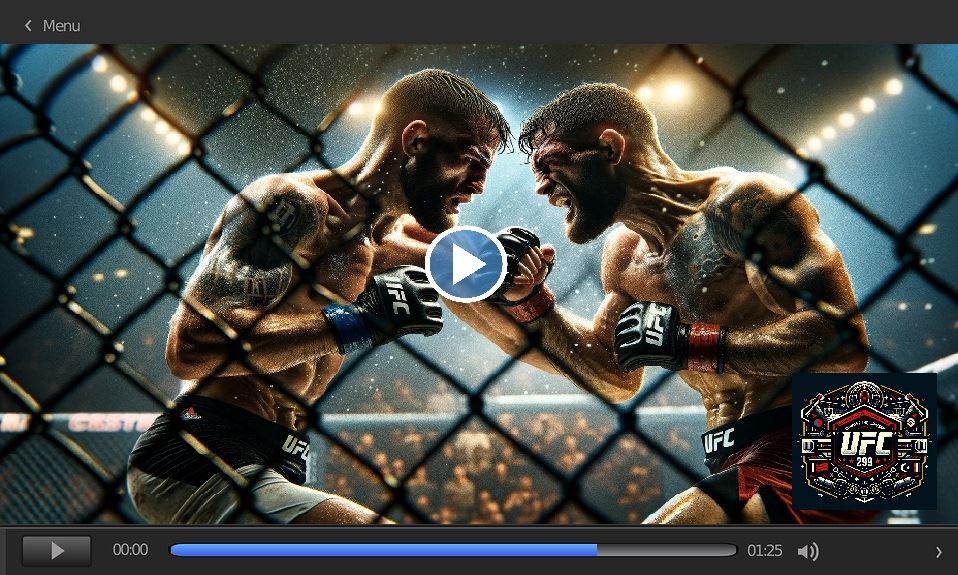 MMA regarder l